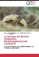 La tortuga del Bolsón (Gopherus flavomarginatus) en cautiverio