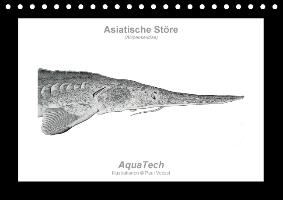 Asiatische Störe (Acipenseridae): Fisch als Kunst (Tischkalender immerwährend DIN A5 quer)