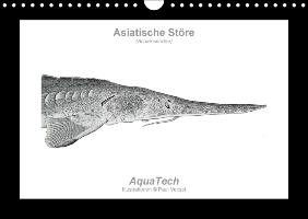 Asiatische Störe (Acipenseridae): Fisch als Kunst (Wandkalender immerwährend DIN A4 quer)