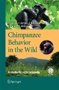 Chimpanzee Behavior in the Wild