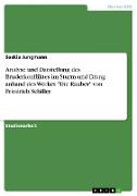 Analyse und Darstellung des Bruderkonfliktes im Sturm und Drang anhand des Werkes "Die Räuber" von Friedrich Schiller