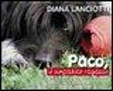 Paco, il simpatico ragazzo