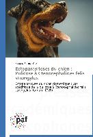 Ectoparasitoses du chien : Pulicose à Ctenocephalides felis strongylus