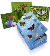 Postkartenbox 100 Schmetterlinge der Schweiz