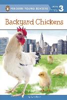 Backyard Chickens