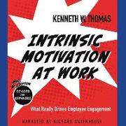 Intrinsic Motivation at Work, 2nd Edition: What Really Drives Employee Engagement