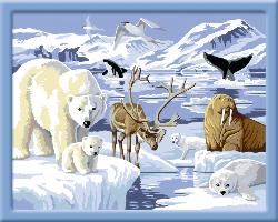Tiere der Arktis. Malen nach Zahlen Serie C