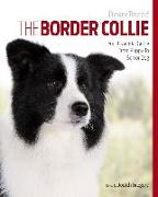 The Border Collie: Your Essential Guide from Puppy to Senior Dog