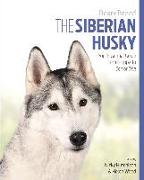 The Siberian Husky: Your Essential Guide from Puppy to Senior Dog