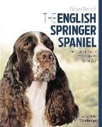 The English Springer Spaniel: Your Essential Guide from Puppy to Senior Dog