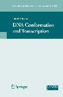 DNA Conformation and Transcription