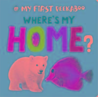 Where's My Home?