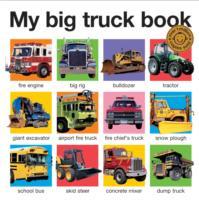 My Big Truck Book