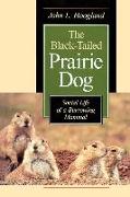 The Black-tailed Prairie Dog