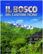 Il bosco del Cantone Ticino