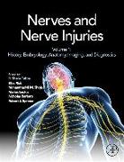 Nerves and Nerve Injuries