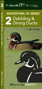The Cornell Lab of Ornithology Waterfowl ID 2 Dabbling & Diving Ducks