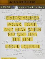 Overwhelmed: Work, Love, and Play When No One Has the Time