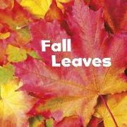 Fall Leaves