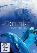 Delfine