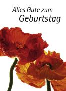 Alles Gute zum Geburtstag