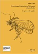 Overview and Description of Trichoptera in Baltic Amber