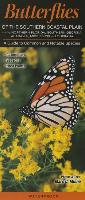 Butterflies of the Southern Coastal Plain Including Northern Florida, Southern Georgia, Alabama, Mississippi & Louisiana: A Guide to Common & Notable