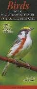 Birds of the Mid-Atlantic States: A Guide to Common & Notable Species
