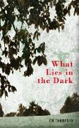 What Lies in the Dark