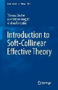 Introduction to Soft-Collinear Effective Theory