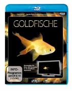 Goldfische HD
