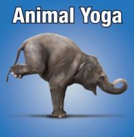 Animal Yoga