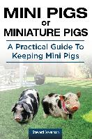Mini Pigs or Miniature Pigs. A Practical Guide To Keeping Mini Pigs