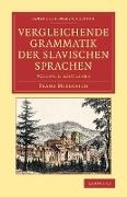 Vergleichende Grammatik Der Slavischen Sprachen - Volume 1