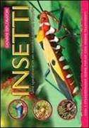 Insetti