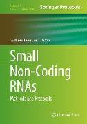 Small Non-Coding RNAs