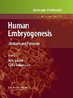 Human Embryogenesis