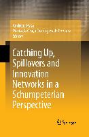 Catching Up, Spillovers and Innovation Networks in a Schumpeterian Perspective