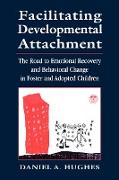 Facilitating Developmental Attachment