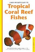 Tropical Coral Reef Fishes