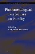 Phenomenological Perspectives on Plurality