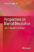 Perspectives on Marital Dissolution