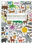 Where Does Rabbit Live?