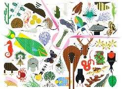 Charley Harper's Animal Kingdom: Popular Edition