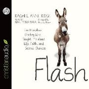 Flash: The Homeless Donkey Who Taught Me about Life, Faith, and Second Chances