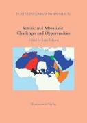 Semitic and Afroasiatic: Challenges and Opportunities