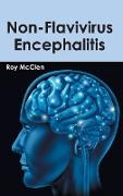 Non-Flavivirus Encephalitis
