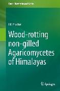 Wood-rotting non-gilled Agaricomycetes of Himalayas