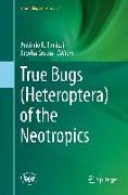 True Bugs (Heteroptera) of the Neotropics