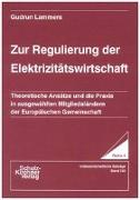 Zur Regulierung der Elektrizitätswirtschaft